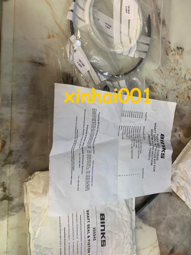 1set 250545 binks - 1set, kit